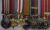 Seymour Wylde Howes Medals